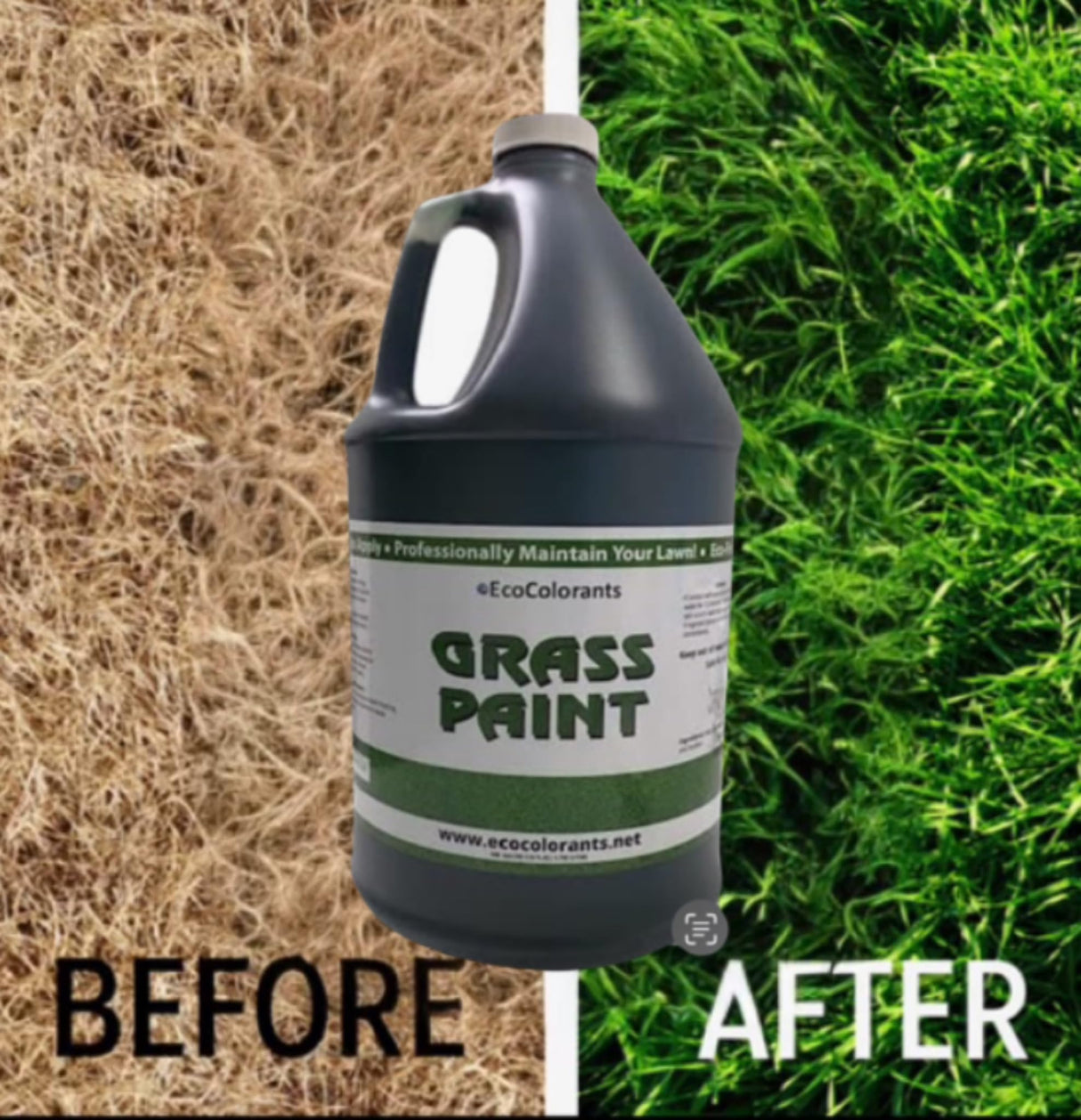 EcoColorants Pre-Mixed and Ready-To Use Grass Paint One Gallon Comes With Sprayer: No Mixing, Ready to Spray Product, Time to get Your Grass Looking Green Again, Revive Your Lawn! Get rid of Dog Spots, Renew Shrubs