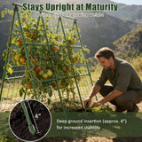 Miory Cucumber Trellis, 48"x48" A-Frame Trellis for Raised Bed, Garden Trellis for Climbing Plants Outdoor, Plant Support for Vegetables Vines