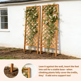 Sciengarden 2 Pack Wood Garden Decor Trellis for Climbing Plants Outdoor