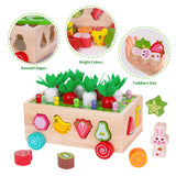 Toddlers Montessori Wooden Educational Toys for Boys Girls Age 1-3 Year Old