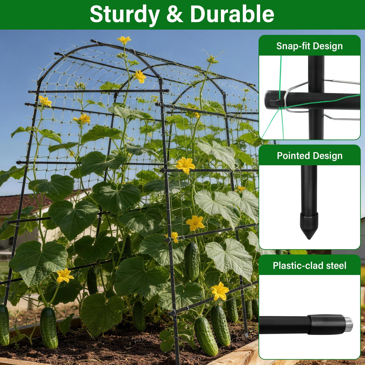 Toriexon Garden Arch Trellis for Climbing Plants