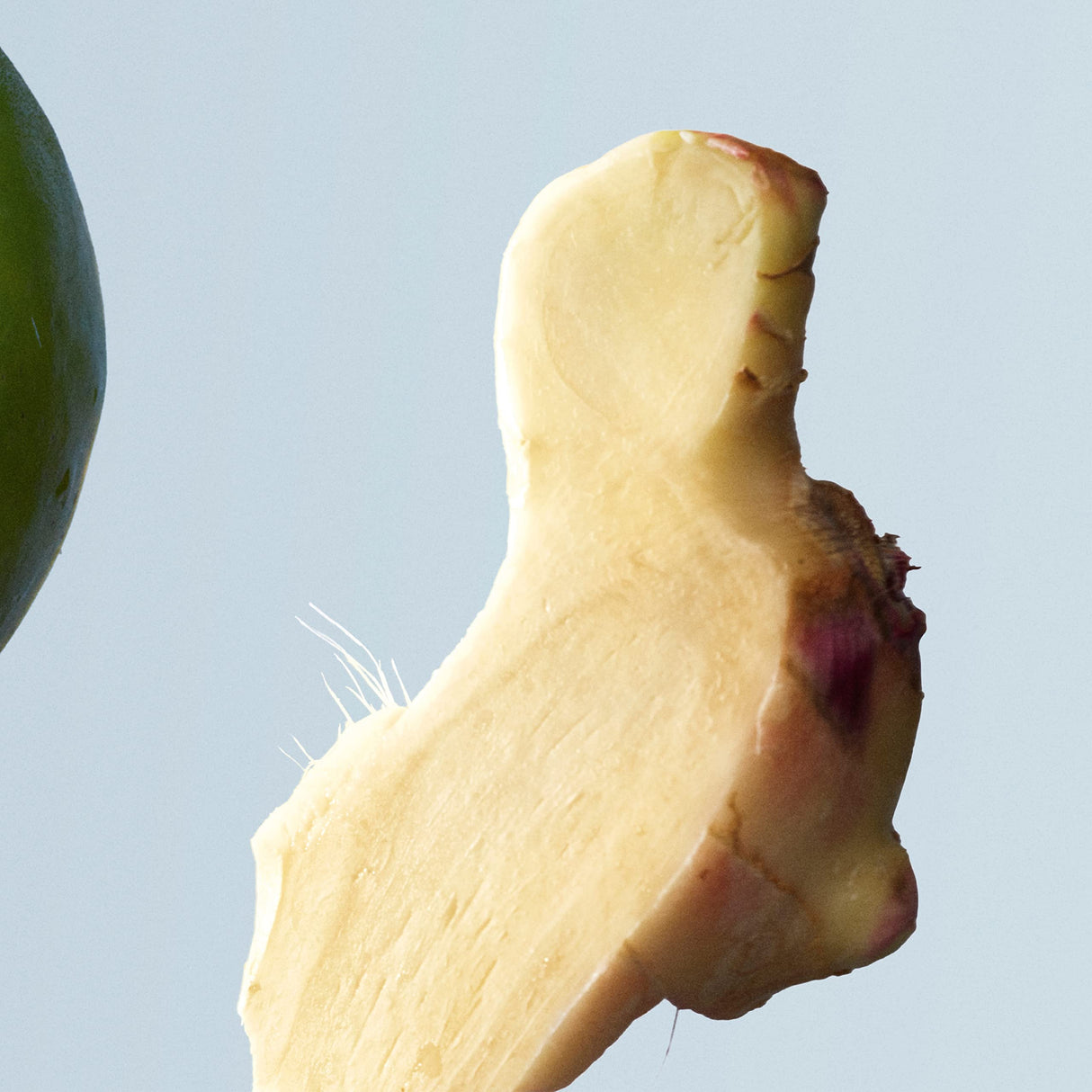 Hugo Boss BOTTLED TONIC Eau de Toilette, 3.3 Fl Oz