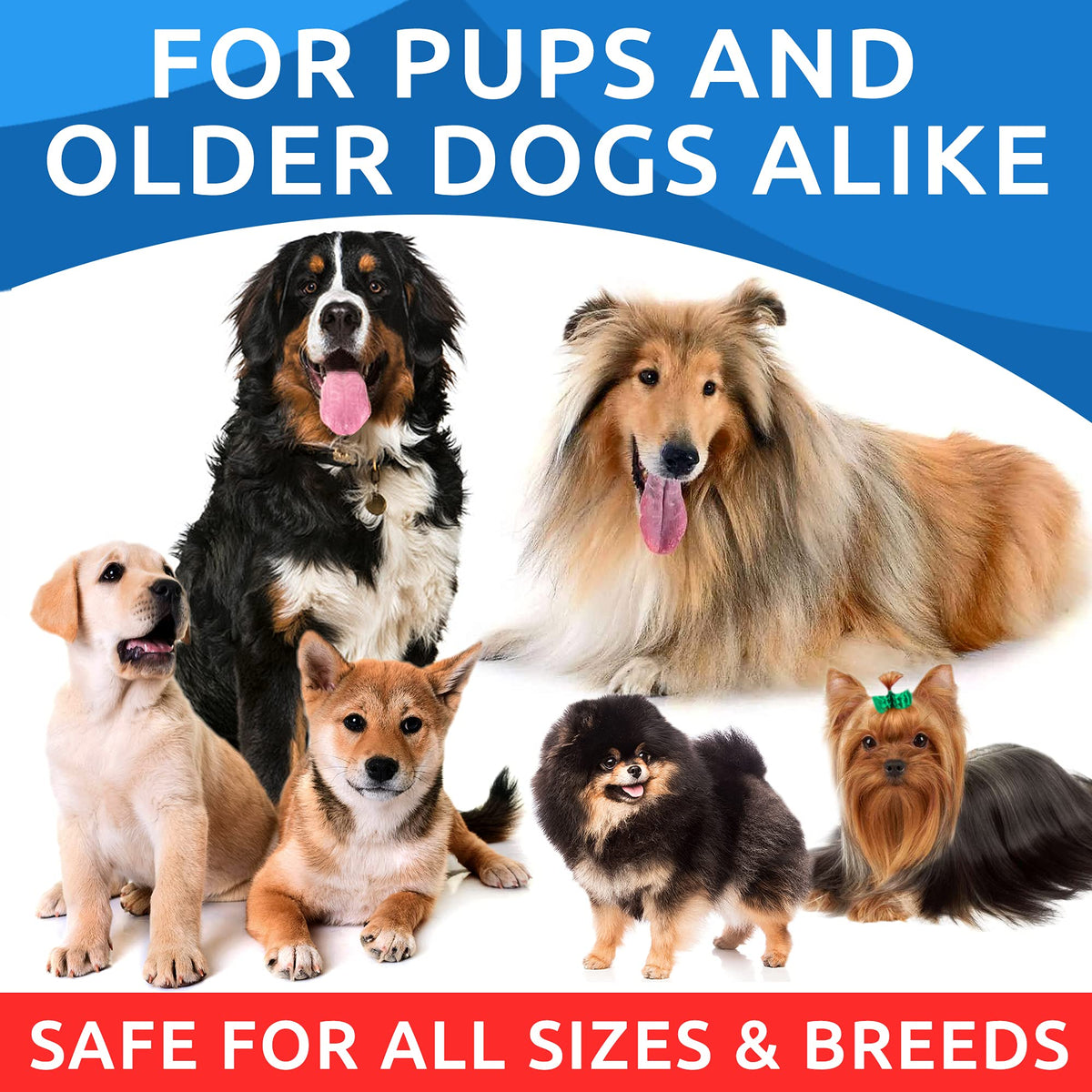 BARK&SPARK Omega 3 for Dogs, Fish Oil Skin & Coat, Itch&Allergy Support