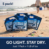 Cooler Shock Reusable Ice Packs for Cooler, 8.5"x7.5" - Long Lasting Cold Freezer Packs for Coolers and Lunch Boxes - Cooler Ice Packs for Camping Gear, Fishing, Road Trips, Beach Must Haves