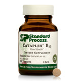 Standard Process Cataplex B12 - Vitamin B12 Supplement for Blood Health Support & Nervous System Function - B12 Vitamin Supplement for Well-Being - Gluten-Free, Non-Dairy & Non-Soy - 90 Tablets