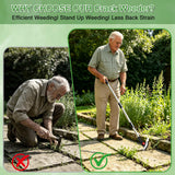 VITAINTE 3 in 1 Crack Weeder Tool Long Handle