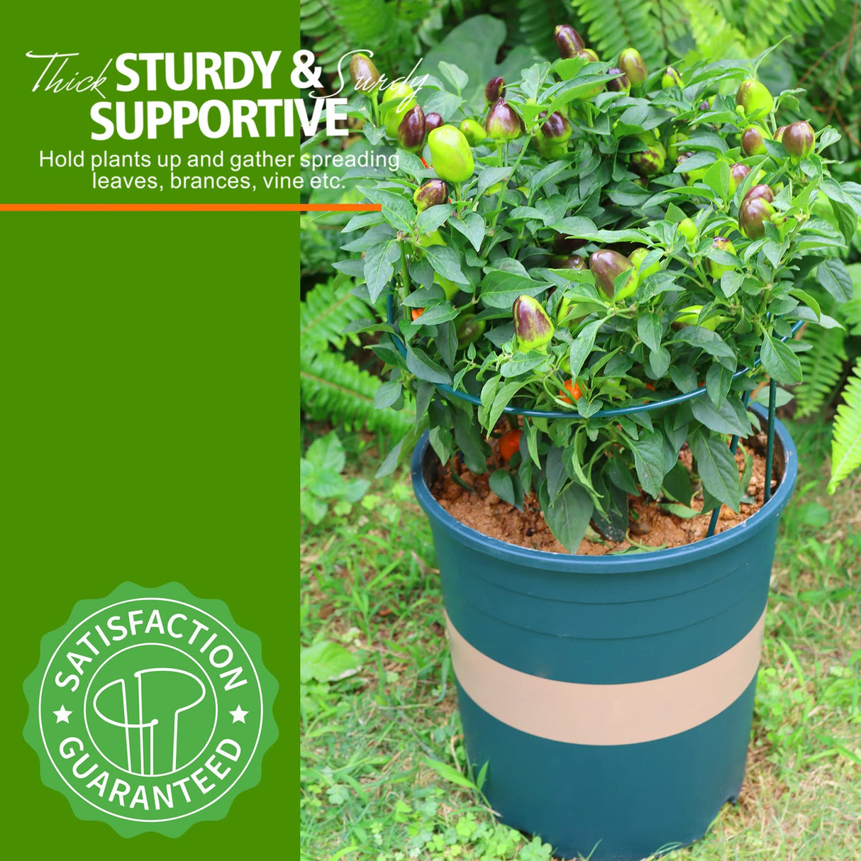 LEOBRO Plant Support, 8PCS Peony Cages and Supports, Plant Stakes for Indoor Plants, Outdoor Plants, Metal Garden Stakes, Plant Holders, Tomato Monstera Hydrangea Support Cage, 10" W x 15.8" H
