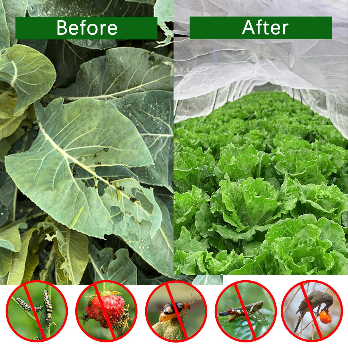 2PCS Insect Netting -10x43FT Fine Mesh Garden Protection Netting for Vegetables Plants Flowers Crops,Row Covers for Raised Bed from Birds Deer Squirrels Barrier Pest