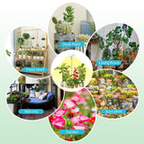 Halo Ring Grow Lights for Small Indoor Plants, Warm+White 96LEDs Full Spectrum Plant Light, Height Adjustable with Adapter, 3/9/12H Timer, 3 Spectral Modes, 10 Dimmable Levels, Angel Ring 2 Pack