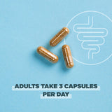 Ancient Nutrition Gut Health Supplement, Regenerative Organic Certified Leaky Gut Capsules, Formulated with Lion’s Mane, Fermented Licorice Root and Spearmint, Gluten Free, Paleo and Keto Friendly, 90