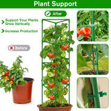 4 Pack Tomato Cages for Garden, Tomato Cage Trellis, Garden Cage Heavy Duty