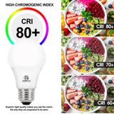 Energetic 24-Pack A19 LED Light Bulb, 60 Watt Equivalent, Daylight 5000K, E26 Medium Base, Non-Dimmable LED Light Bulb, ETL Listed