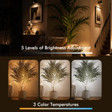 LED Spotlights Indoor, 5W Plants Uplighting with Remote Control Dimmable & Timer, Uplights Indoor Floor Spot Lights for Painting, Picture, Artwork, Accent Stick on Wall Light with 5.9 FT Plug Cord
