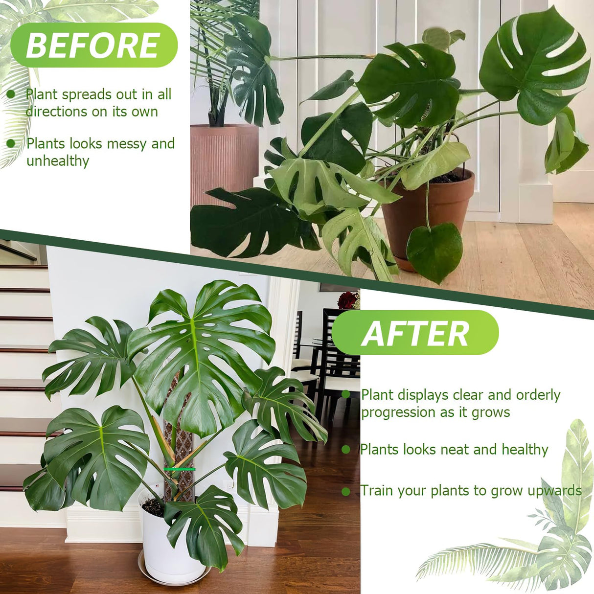 Sisher 6 Pcs Monstera Moss Pole,Plastic Moss Poles for Climbing Plants
