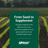 Standard Process Trace Minerals-B12 - Thyroid & Cell Functioning Support with Iodine, Zinc & Copper - Cartilage & Bone Health Aid - Non-Dairy & Non-Soy - 90 Tablets (90 Servings)