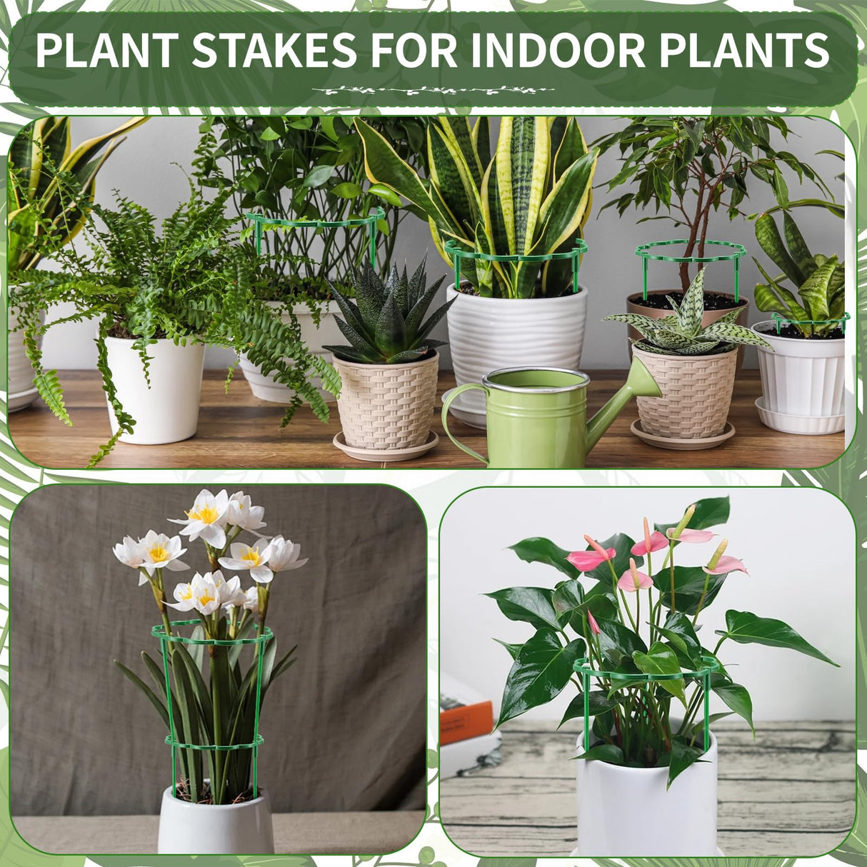 Moiggonoy 36 Pack Plant Support Stakes Sets - Versatile Plant Cages, Stackable Garden Flower Support， Small Plant Stakes for Indoor Plants,Tomato,Monstera, Peony, Hydrangea, Climbing Plants