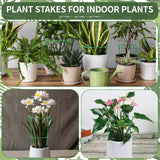 Moiggonoy 36 Pack Plant Support Stakes Sets - Versatile Plant Cages, Stackable Garden Flower Support， Small Plant Stakes for Indoor Plants,Tomato,Monstera, Peony, Hydrangea, Climbing Plants