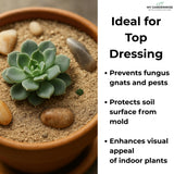GARDENWISE Fine Sand for Plants – Horticultural Sand for Succulents, Cactus, Potting Mixes, Terrariums & Decorative Indoor Gardens, Made in USA (3 quarts - 8.4 lbs)