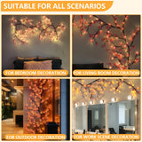 FNHMSL Cherry Enchanted Willow Vine Lights, 4FT 48LED Pink Cherry Blossom Tree Branch Lights for Wall, Remote Timer,8 Light Model,Bedroom Wall Doors Wedding, Christmas, USB Battery Box