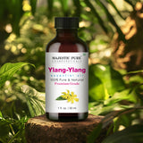 MAJESTIC PURE Ylang Ylang Essential Oil | 100% Pure and Natural Ylang Ylang Oil | Premium Grade Essential Oils for Hair Care, Home Diffusers, Skin, Aromatherapy, Massage and Humidifiers | 4 Fl Oz