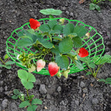 Pumtus 20 Pack Strawberry Supports, Strawberry Plant Stand With 3 Sturdy Legs, Strawberry Growing Racks, Strawberry Growing Frame Holder Cage, Keeping Berries Clean