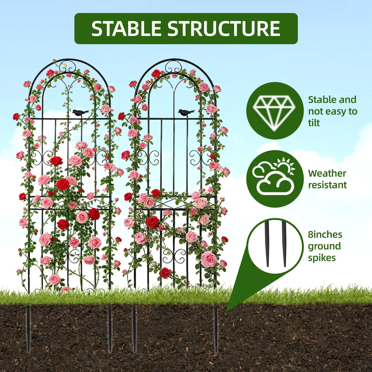 Amoskey Durable Garden Trellis for Climbing Plants - Outdoor Trellis Supports for Lush Greenery - Ideal for Vines, Flowers, and Vegetables, Easy Installation & Space-Saving Design (71"H*20"W -2 pack)