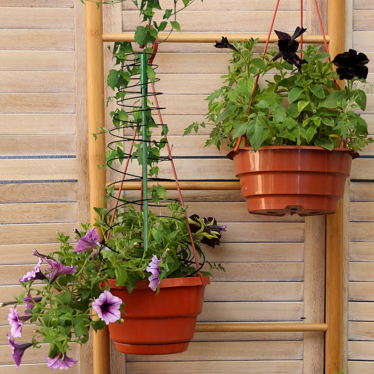 3 Pack 53.6" Spiral Plant Support Stakes, Adjustable Metal Pea Trellis for Climbing Plants, Garden Support Rings with 9 Extension Rods & 9 Ground Stakes for Potted Plants, Vegetables, Flowers,Peas