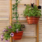 3 Pack 53.6" Spiral Plant Support Stakes, Adjustable Metal Pea Trellis for Climbing Plants, Garden Support Rings with 9 Extension Rods & 9 Ground Stakes for Potted Plants, Vegetables, Flowers,Peas