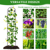 3 Packs Metal Garden Trellis for Climbing Plants (65.3'' x 40'') Rustproof Metal Garden Flower Rose Trellis, Outdoor Climbing Clematis Trellis Cucumbers Support for Courtyards Lawns