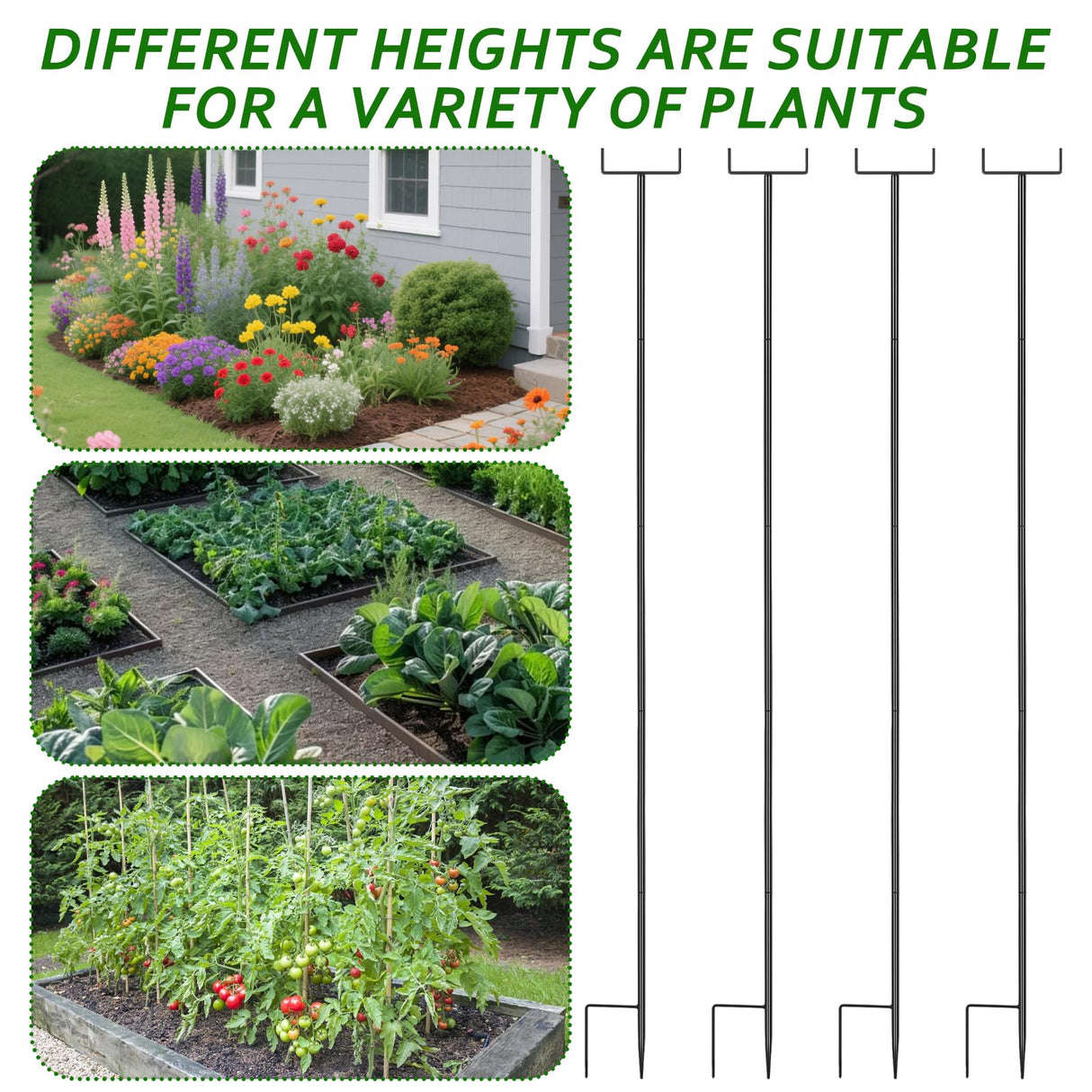 4Pack 6.56ft Metal Garden Netting Support Stakes,Heavy Duty Garden Stakes for Netting Garden Netting Pole with Rustproof for Support Fruits Garden Bed Plant Net