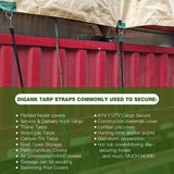 Bungee Cords with Hooks (10 Pack) Heavy Duty Outdoor Rubber Tarp Straps in 10", 15", 21", 31" Sizes, Crimped S Hooks for Cargo, Bikes, Camping Gear, Luggage - Max Stretch 1.5X, Load 180 lbs
