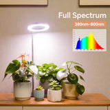 GTRUIIDY Desktop Grow Light, Full Spectrum Plant Light with Timer, Height Adjustable Halo Grow Lamp for Indoor Plants, 3 Lighting Modes for Seedlings & Succulents, White