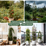 6.3FT, 100% Metal Thickened Garden Obelisk Trellis for Climbing Plants