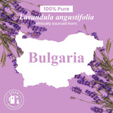 Handcraft Blends Lavender Angustifolia Essential Oil Gift Set – Huge 4 Fl Oz – 100% Pure & Natural – Premium Grade Essential Oil for Diffuser and Aromatherapy – Beautiful Gift Box Included