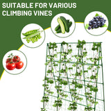 PHENEAHILL Large A-Frame Garden Trellis for Tomatoes, Cucumbers & Heavy Climbing Plants - Rust-Resistant, Heavy-Duty Steel, Perfect for Outdoor Gardens & Vertical Gardening(47" W x 63" H)