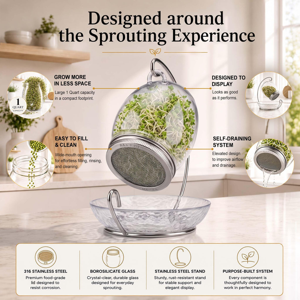 ALCEDIA Premium Sprouting Jar Kit - Unique 30 oz Wide Mouth Sprouting Jar, Stand, Tray and 316 Stainless Screen Lid | Decorative Indoor Seed Sprouter and Germinator (1 Kit)