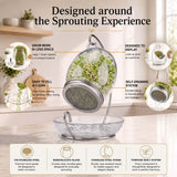 ALCEDIA Premium Sprouting Jar Kit - Unique 30 oz Wide Mouth Sprouting Jar, Stand, Tray and 316 Stainless Screen Lid | Decorative Indoor Seed Sprouter and Germinator (1 Kit)