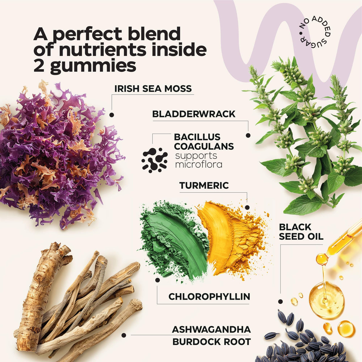 Multimineral Sea Moss Glow Gummies - Irish Seamoss for Immunity, Thyroid Health, Skin - Detox Cleanse Gummies with Black Seed Oil, Bladderwrack, Ashwagandha - No Sugar, GMO - for Men and Women