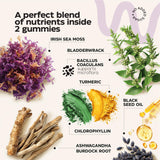 Multimineral Sea Moss Glow Gummies - Irish Seamoss for Immunity, Thyroid Health, Skin - Detox Cleanse Gummies with Black Seed Oil, Bladderwrack, Ashwagandha - No Sugar, GMO - for Men and Women