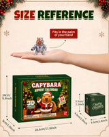 Capybara Advent Calendar 2026 for Boys Girls 3D Printed Animal Toys Gifts