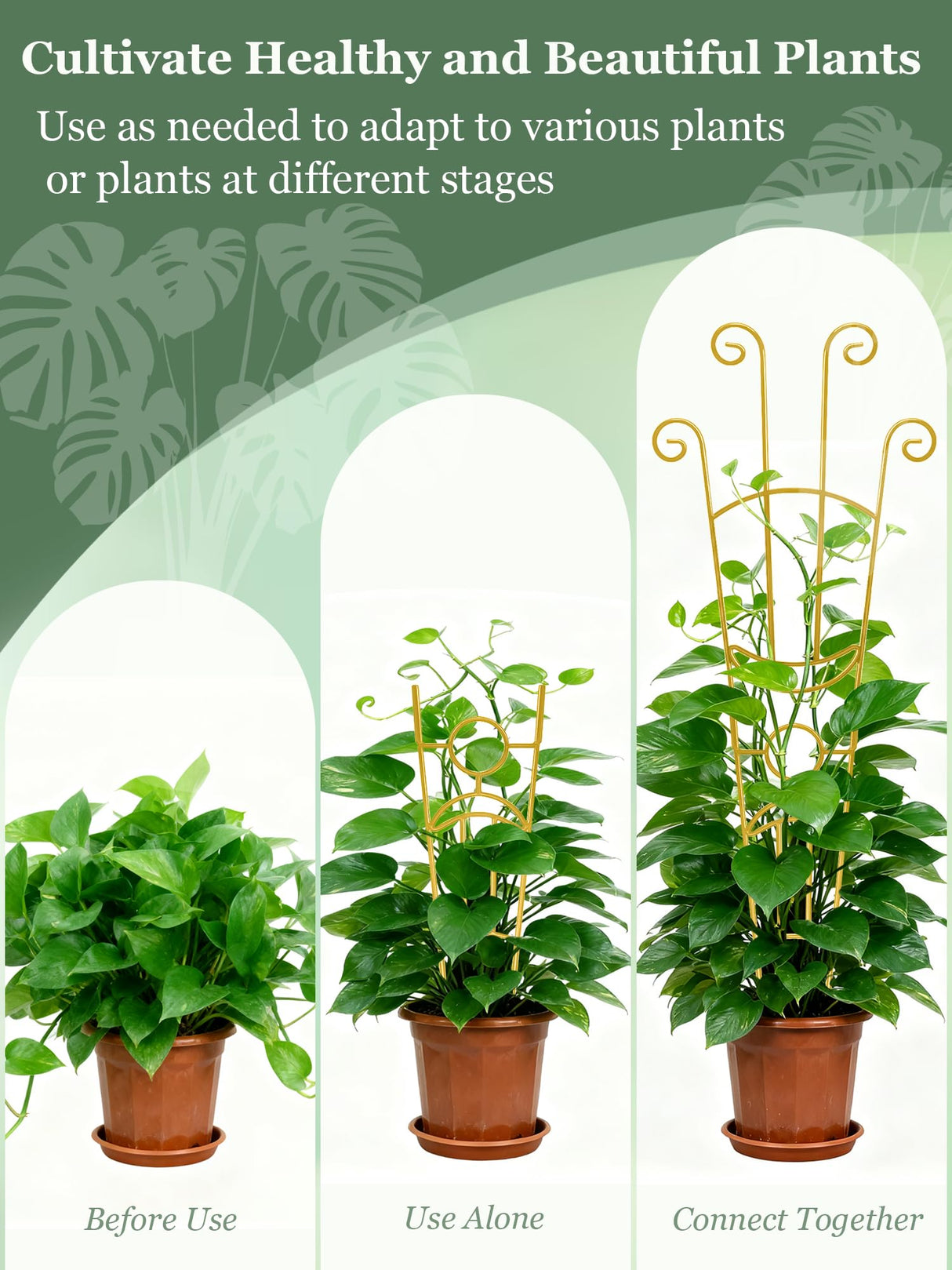 2Pcs Large Metal Trellis for Potted Plants Indoor, 33 Inch Tall Expandable Garden Trellis for Climbing Plants, Houseplant Support for Monstera, Ivy, Hoya Flower Outdoor (Gold)