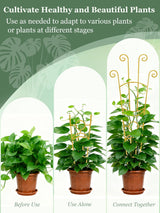 2Pcs Large Metal Trellis for Potted Plants Indoor, 33 Inch Tall Expandable Garden Trellis for Climbing Plants, Houseplant Support for Monstera, Ivy, Hoya Flower Outdoor (Gold)