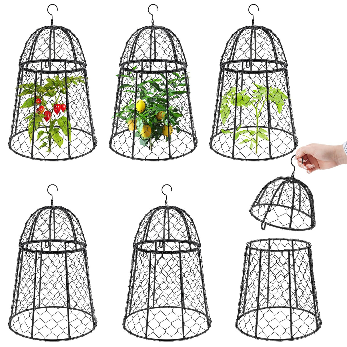 6 Pack Garden Cloches for Plants, Sturdy Chicken Wire Cloches Plant Cover