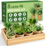 LUOJIBIE Indoor Herb Garden Kit, Complete Herb Starter Growing Kit with Seeds & Tools, Christmas Birthday Gifts for Women Men Mom Dad, House Warming New Home Kitchen Gifts for Girls Boys Plant Lovers
