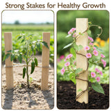 25 Pcs 12 Inch Wood Stakes, Sturdy Wooden Garden Stakes with Pointed Tip