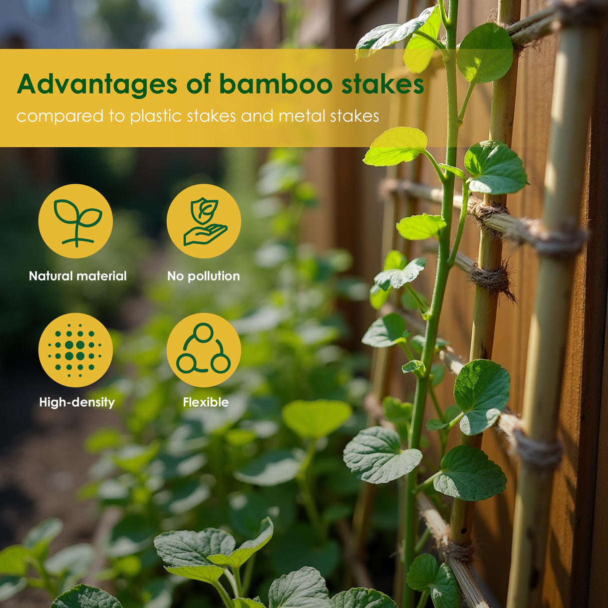 Cambaverd Bamboo Stakes 3ft, 50 Pack Bamboo Garden Stakes 3 Feet, Natural Plant Stakes for Tomatoes and Climbing Plant Support, Bamboo Sticks for Plants