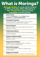 Lunakai USA Made Pure Moringa Capsules – 7850mg Advanced Moringa Leaf Extract Supplement with Ashwagandha, Boswellia, Ginseng & Turmeric, 60ct