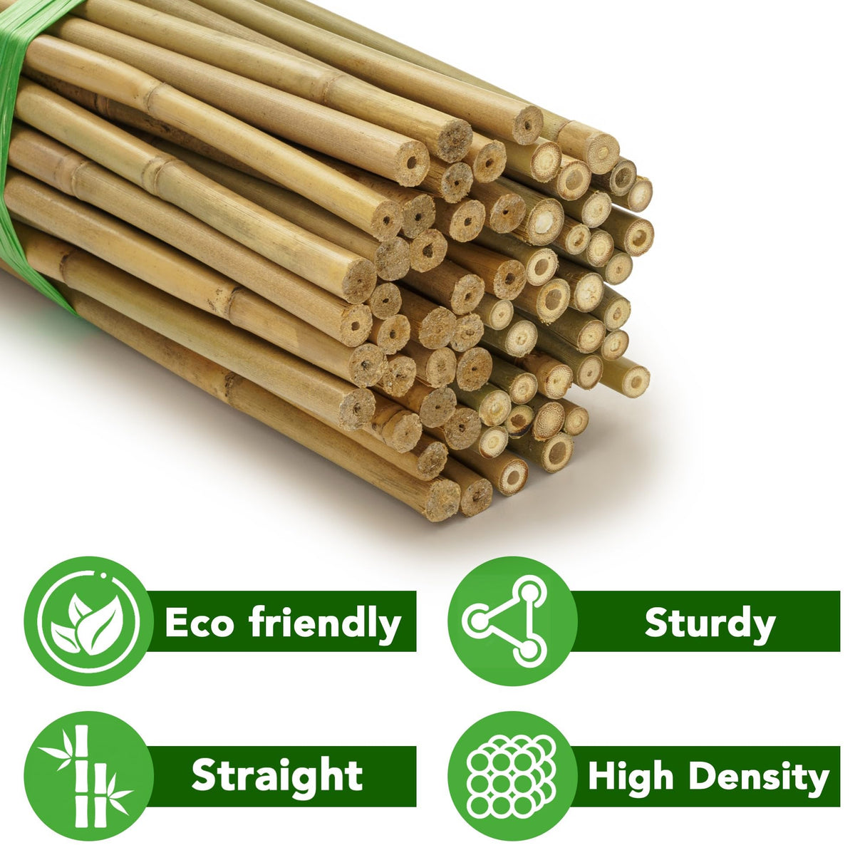 Taoskai Bamboo Stakes, 5 Feet (58 inch), 70 Pcs