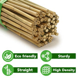 Taoskai Bamboo Stakes, 5 Feet (58 inch), 70 Pcs