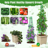 4 Pack 64" Tall Adjustable Obelisk Garden Trellis for Climbing Plants, Rust-Proof Pe Coated Metal Plant Trellis Support for Raised Beds, Potted Vines, Cucumbers, Tomatoes, Indoor Outdoor Use (4 Pack)